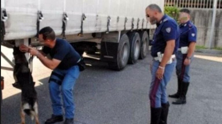 Caserta: arrestato autotrasportatore con 205 chili di cocaina